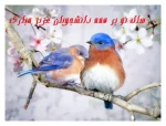 سال نو مبارک 2