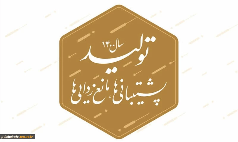 سال تولید ؛ پشتیبانی ها و مانع زدایی ها 2